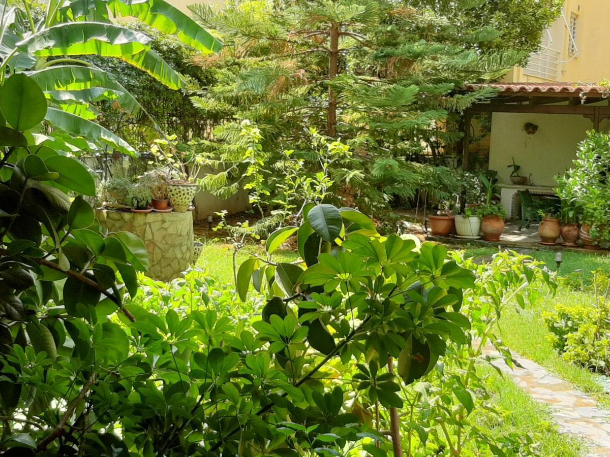 Lovely House Athènes Extérieur photo